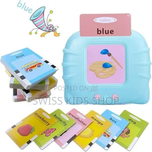 Flash Card Reader / Educational Card Reader.