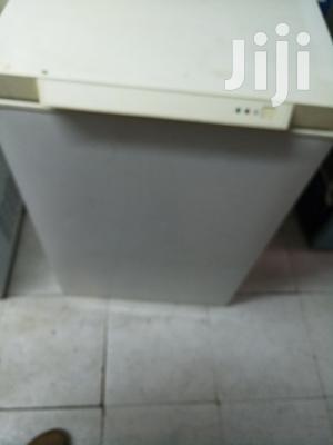 Mini Deep Freezer