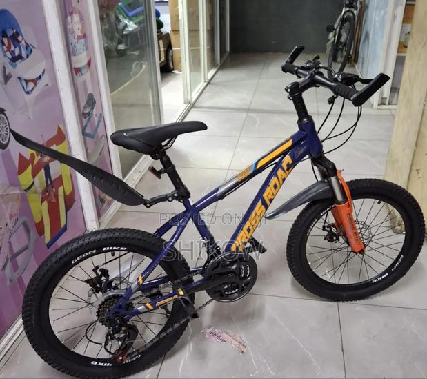 Cross Road *Size 20 Geared Bike 