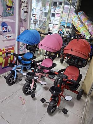 Tricycle With Push Handle and Canopy - thumbnail 2