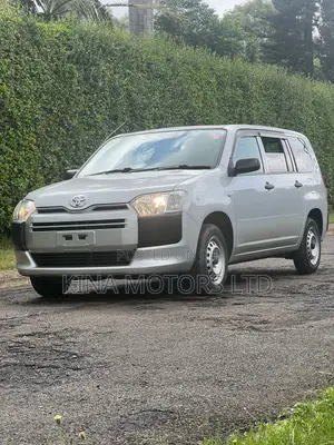 Toyota Probox 2018 Silver