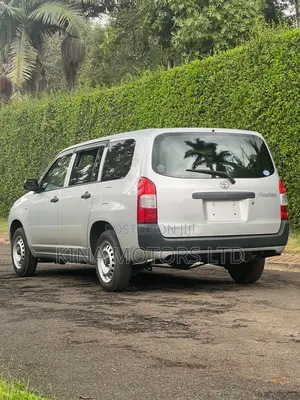 Toyota Probox 2018 Silver