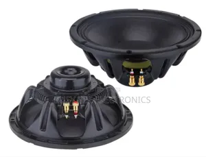 12 Inch Neodymium Speaker Nr 12nd880