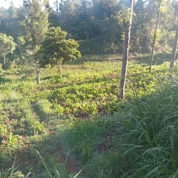 Bodeni Amboni Land 4 Sale