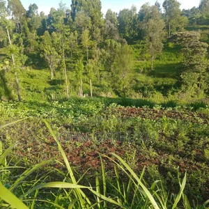Bodeni Amboni Land 4 Sale