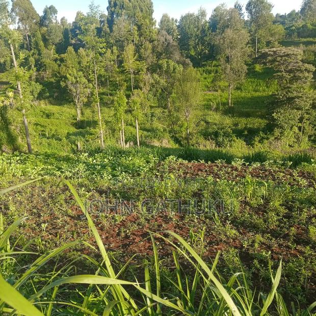 Bodeni Amboni Land 4 Sale - thumbnail 2