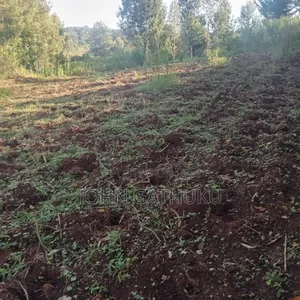 Bodeni Amboni Land 4 Sale
