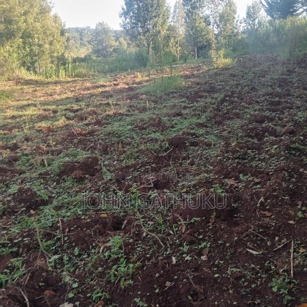 Bodeni Amboni Land 4 Sale - thumbnail 3