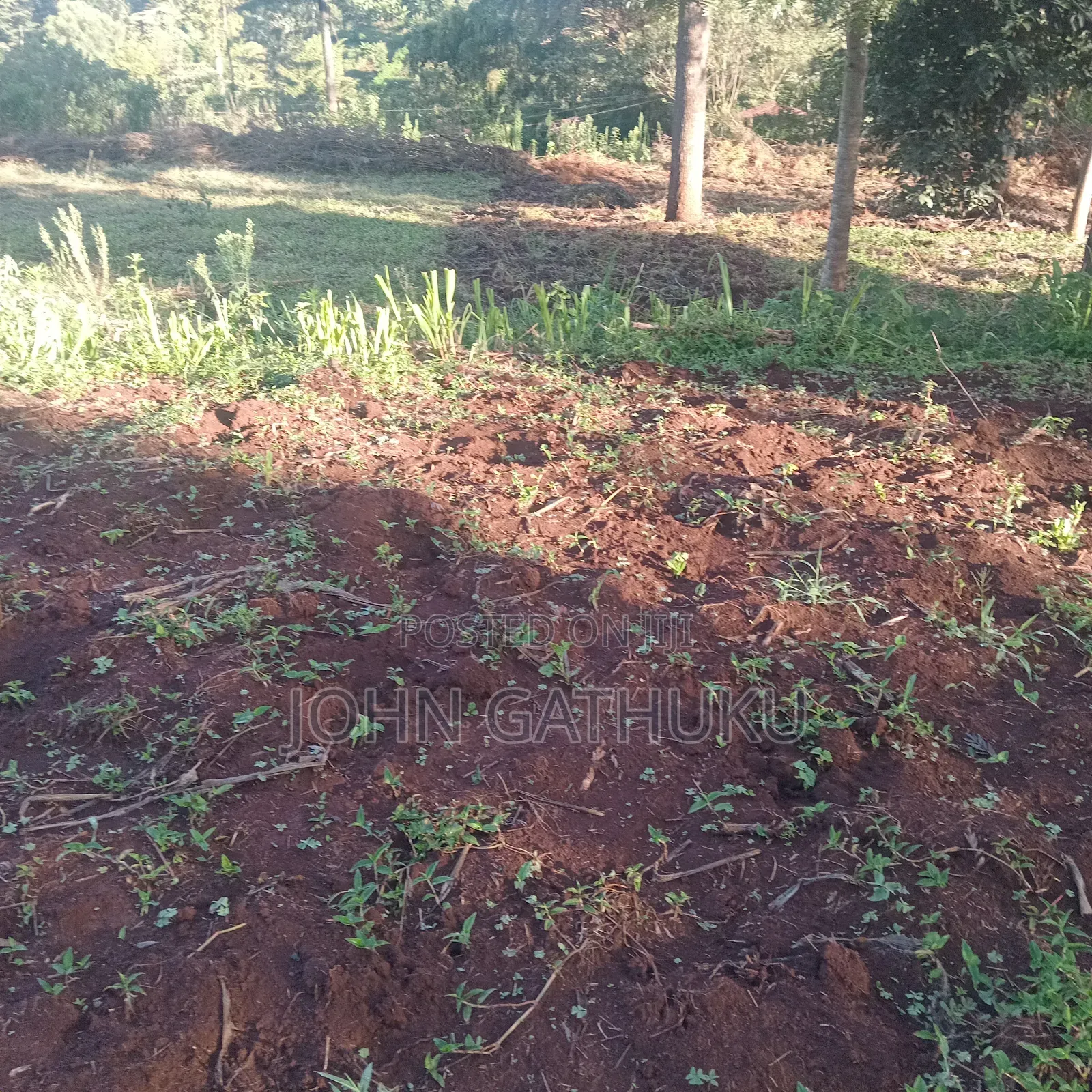 Bodeni Amboni Land 4 Sale