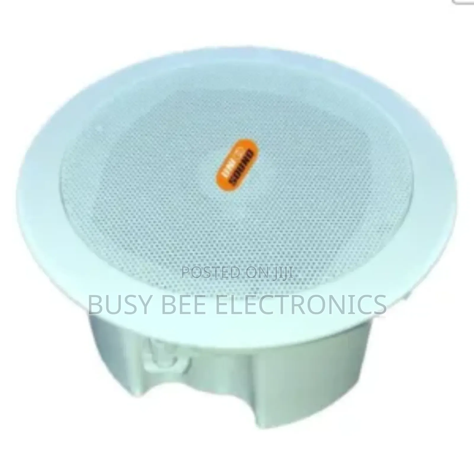 Bluetooth Ceiling Speaker
