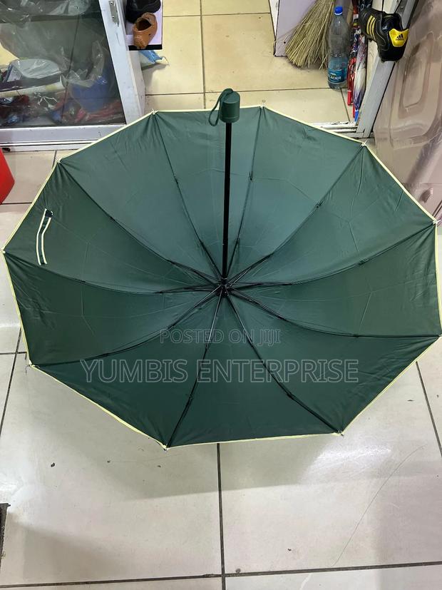 Big Size Green  Umbrellas at 650