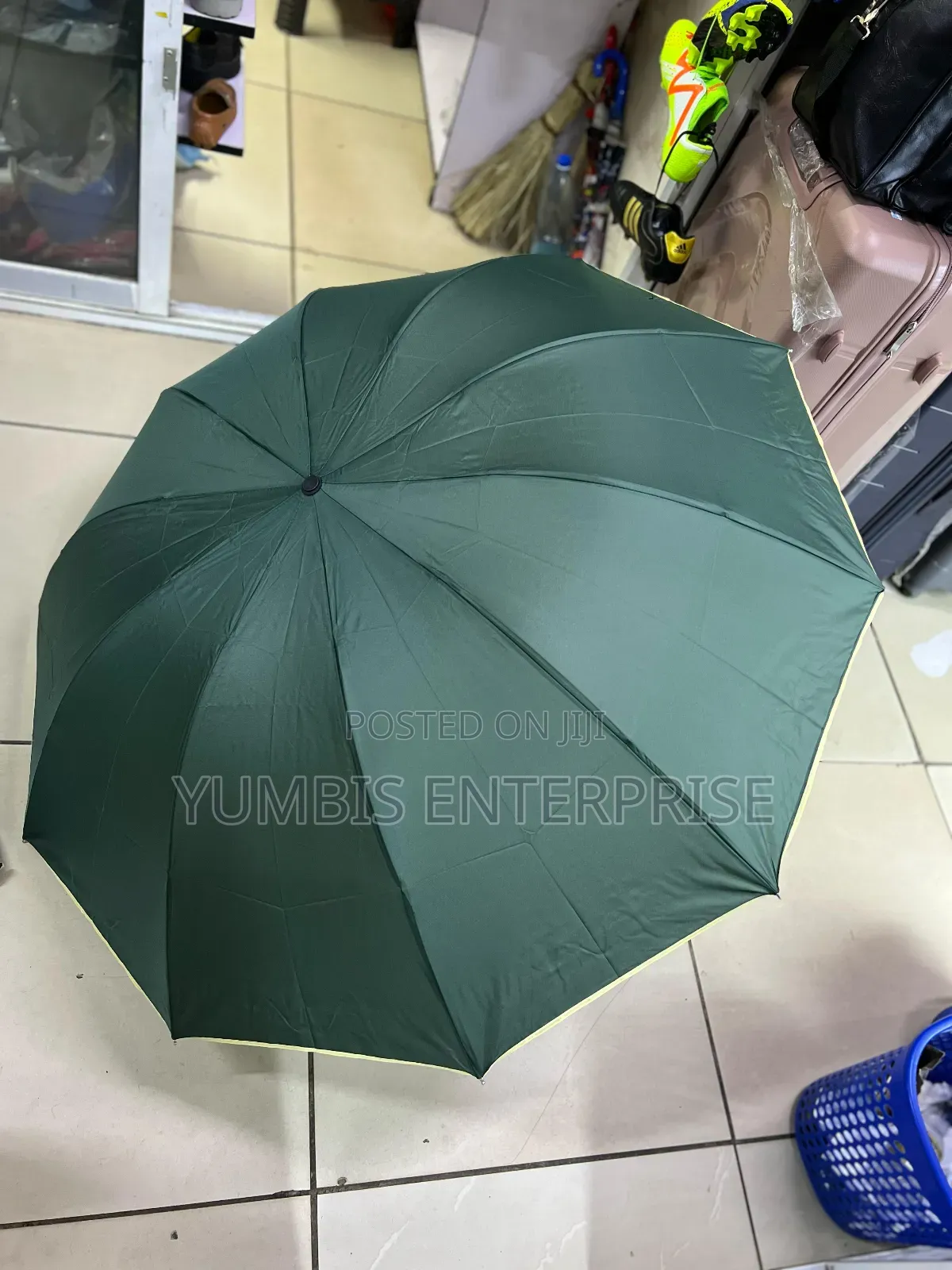 Big Size Green  Umbrellas at 650