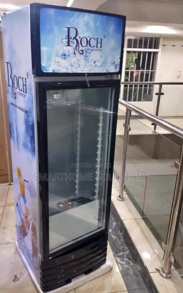 Roch 209l Beverage Chiller: Efficient Cooling - main view