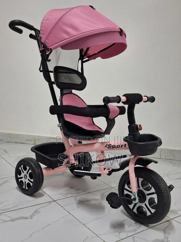 Push Handle Tricycle With Canopy(Pink) - main view