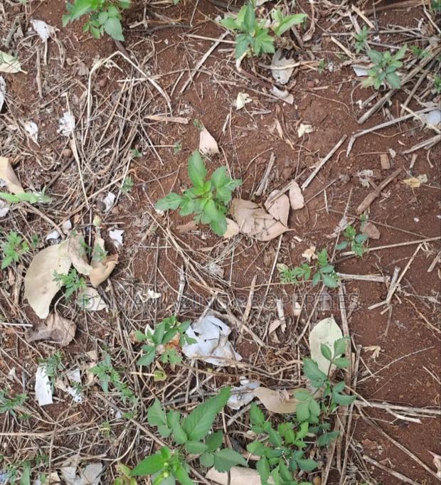 1 Acre Land for Sale in Ngong Matasia in a Gated Community - thumbnail 5