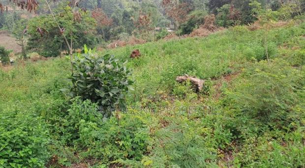 1 Acre Land for Sale in Ngong Matasia in a Gated Community - thumbnail 6