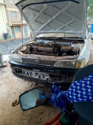 Toyota Corolla 1998 White