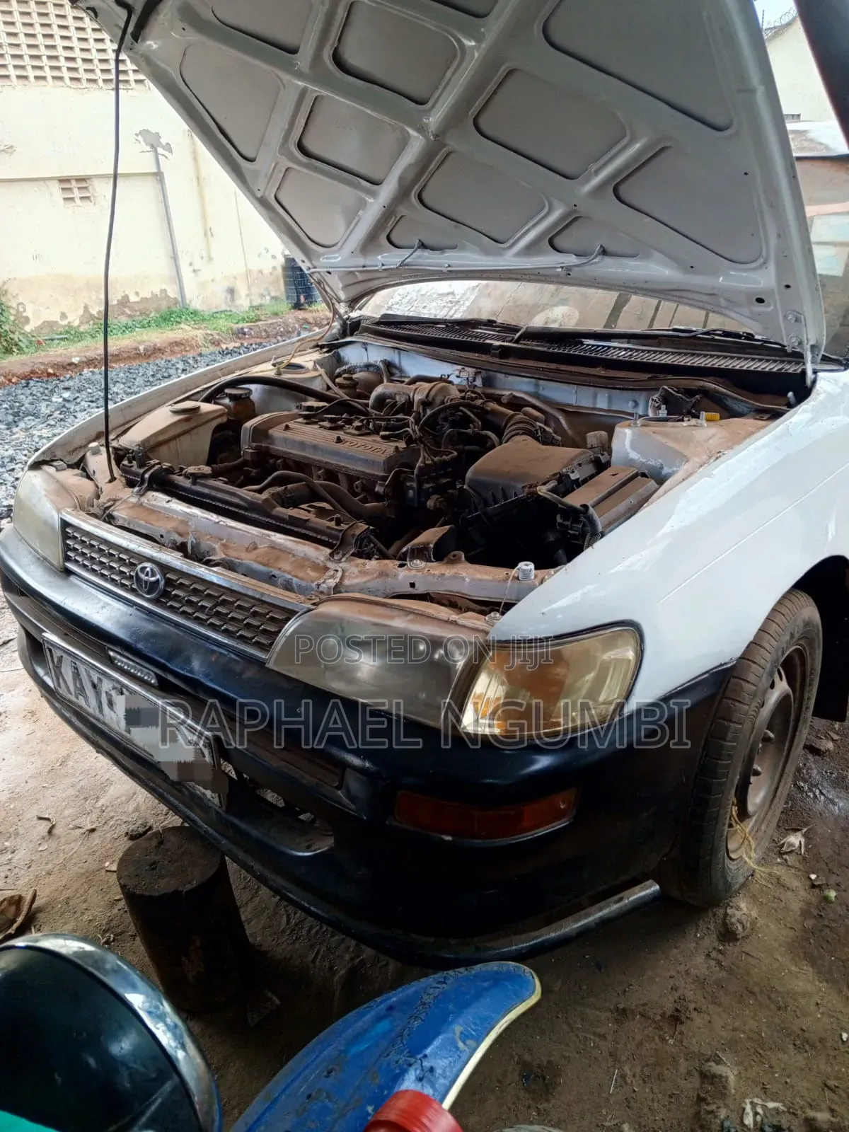 Toyota Corolla 1998 White