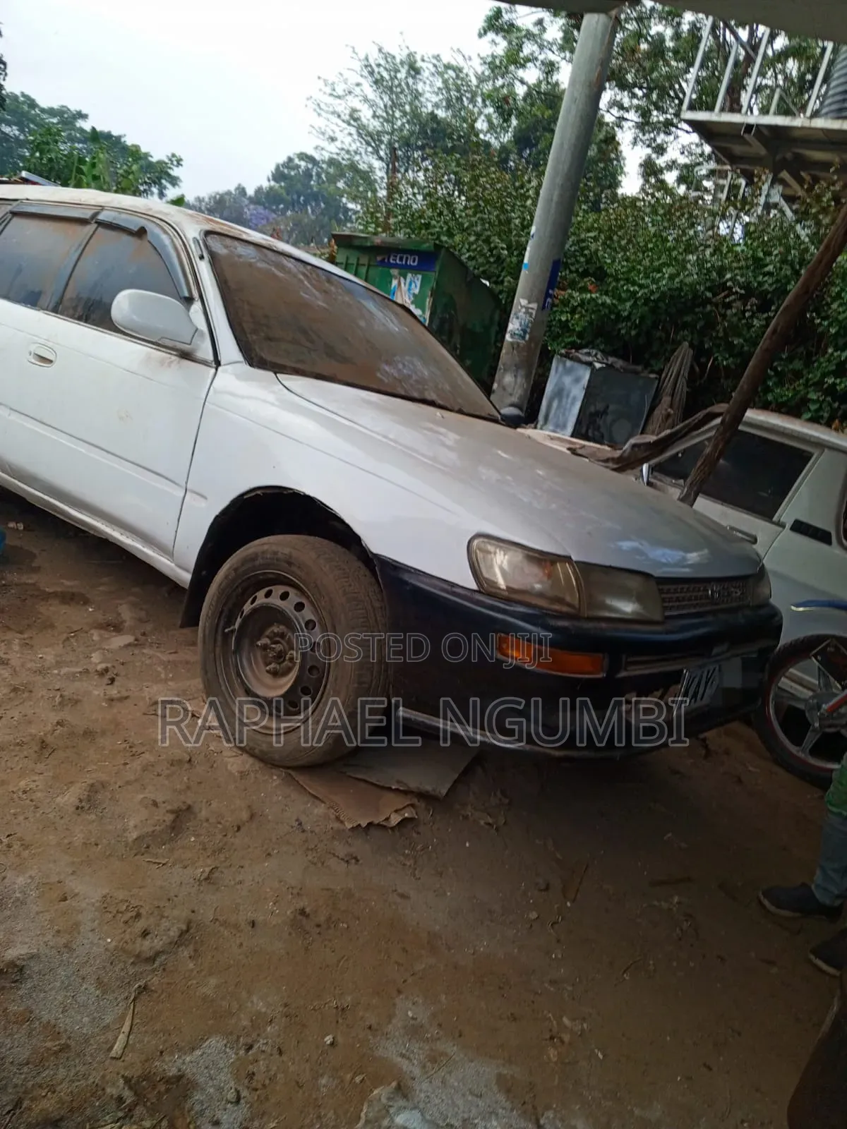 Toyota Corolla 1998 White