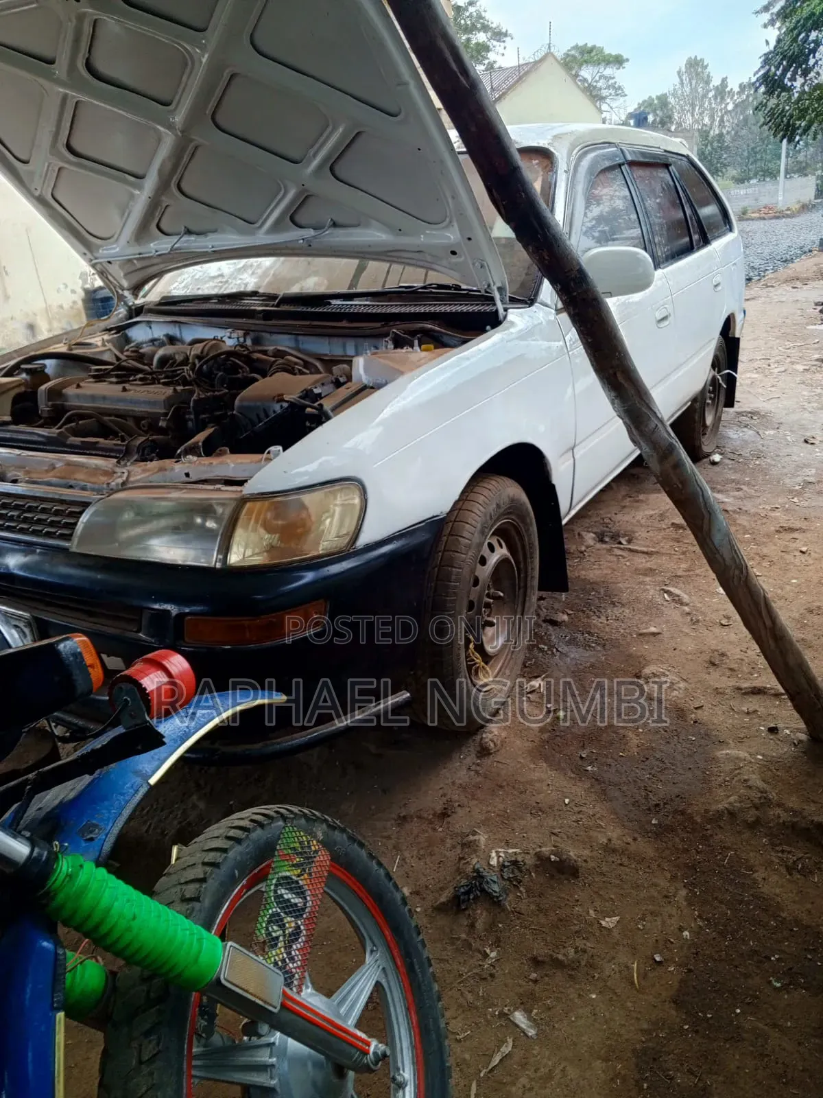 Toyota Corolla 1998 White
