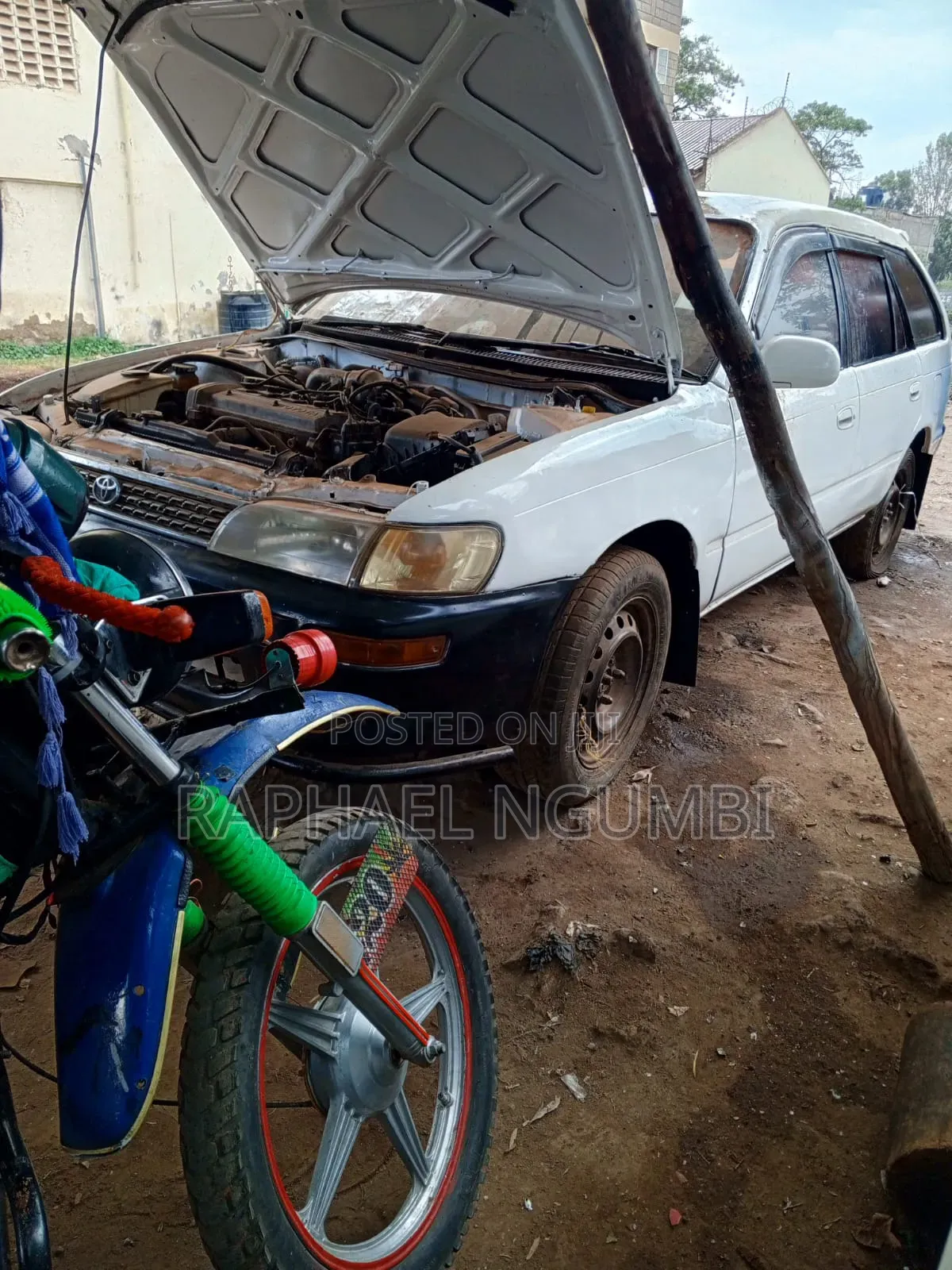 Toyota Corolla 1998 White