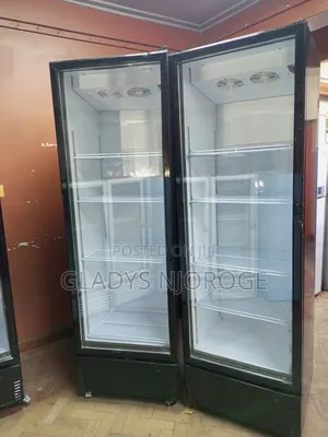 Show Case Display Fridge 650l