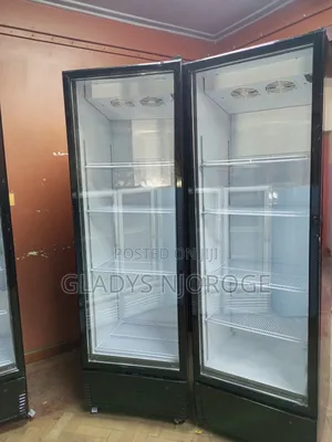 Show Case Display Fridge 650l