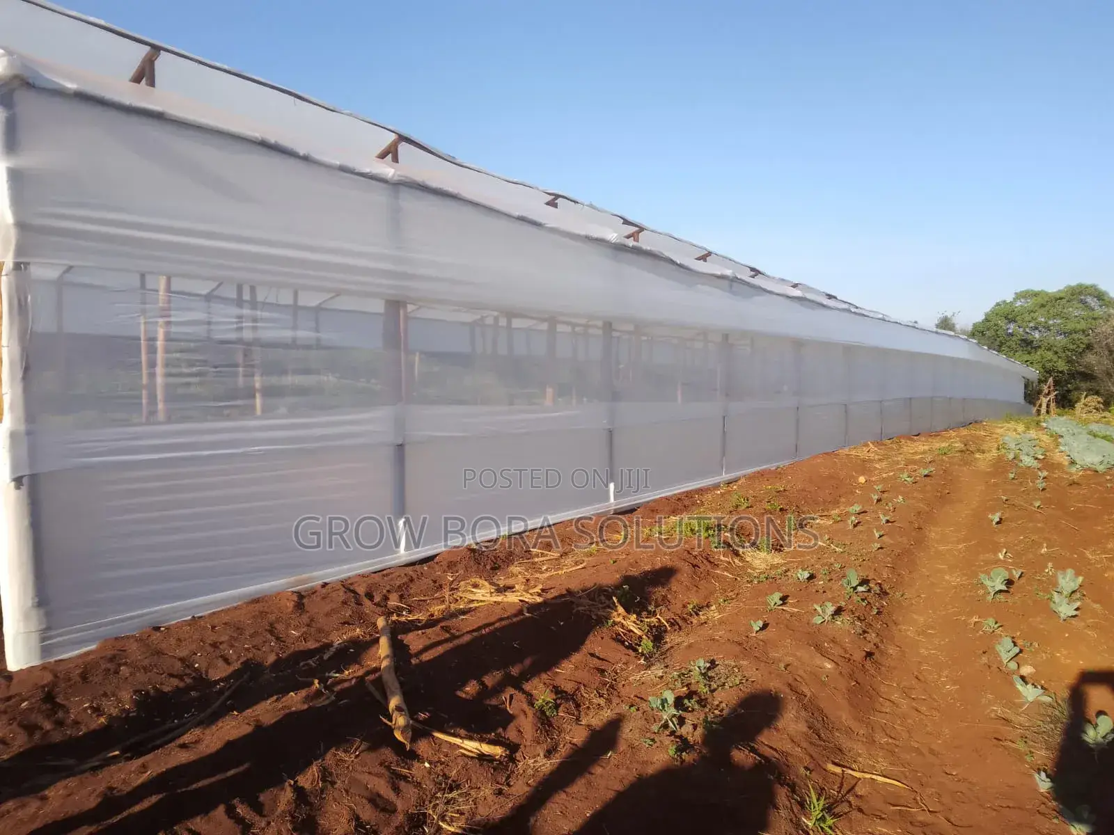 Irrigation Systems,Green House Construction and Repair,200 Micron Poly