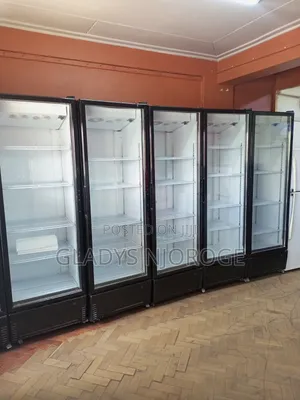 Unique Cooler Display Fridge 650l