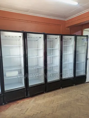 Unique Cooler Display Fridge 650l