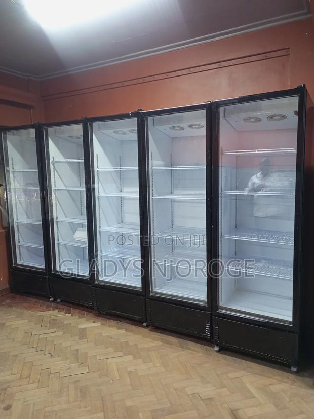 High Quality Display Fridge