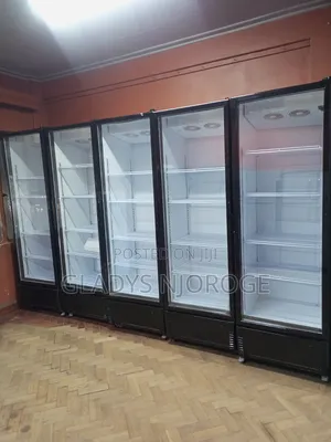 High Quality Display Fridge