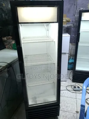 Medium Size Display Fridge 300l