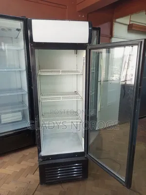 Affordable Display Fridge