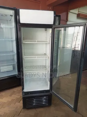 Affordable Display Fridge