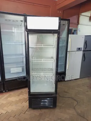 Affordable Display Fridge