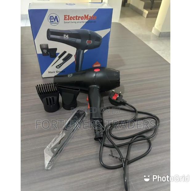 Electromate Blowdry2200 Watt - main view