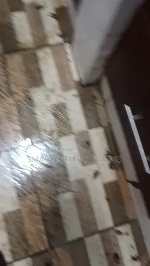 Roaches Extermination in Mlolongo