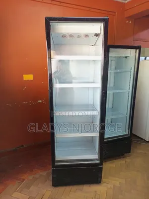 Premier Cooler 400l