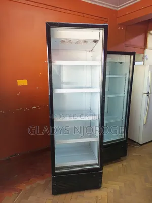 Display Chiller Fridge 650l