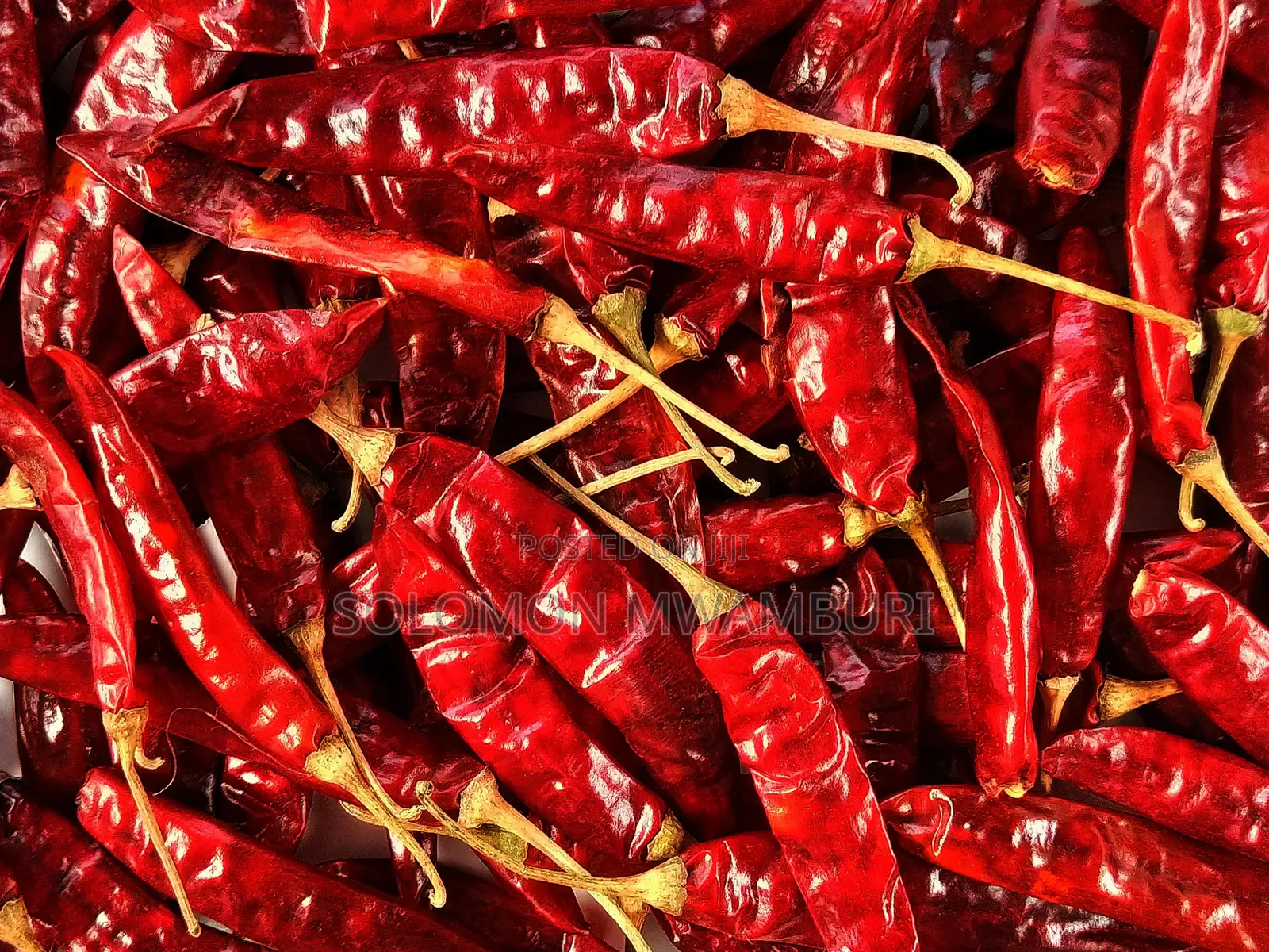 Chilli Powder and Other Chilli Products