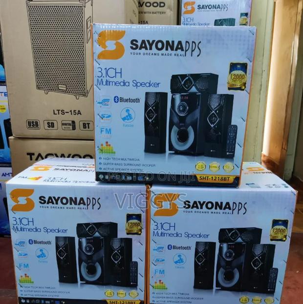 Sayona 3.1 Channel Multimedia Speaker.