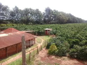 475 Acres Prime Land for Sale in Thika/Del Monte