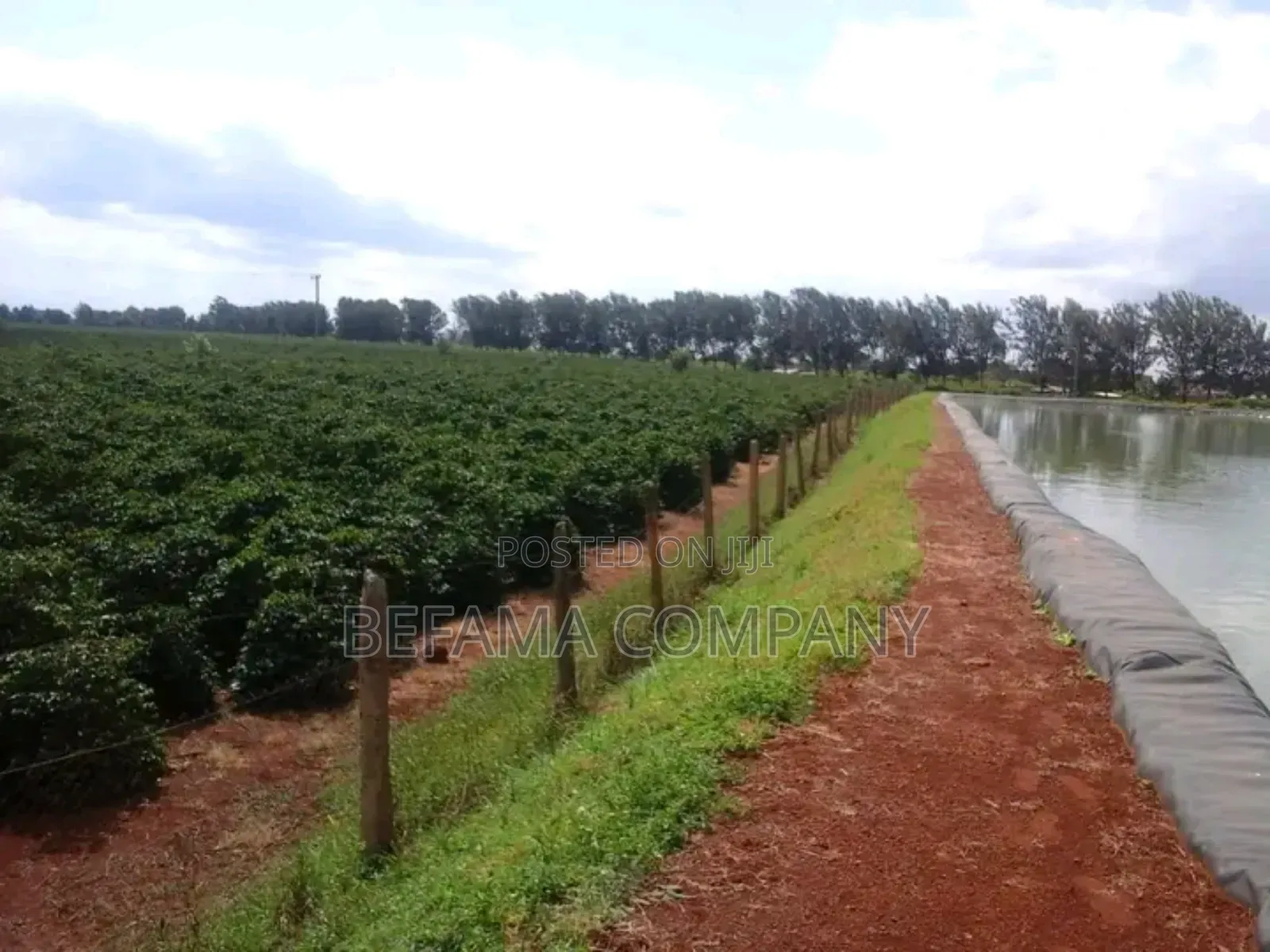 475 Acres Prime Land for Sale in Thika/Del Monte