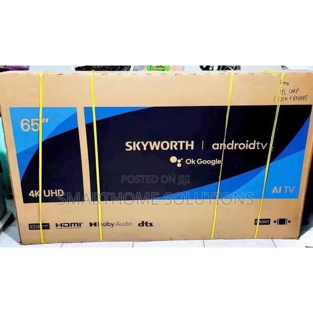 Skyworth Google 65" Excellent Television - main view