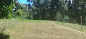 Plot at Tumba - Kasinga Area Next to Aic Kasinga