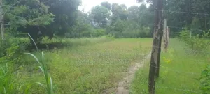 Plot at Tumba - Kasinga Area Next to Aic Kasinga