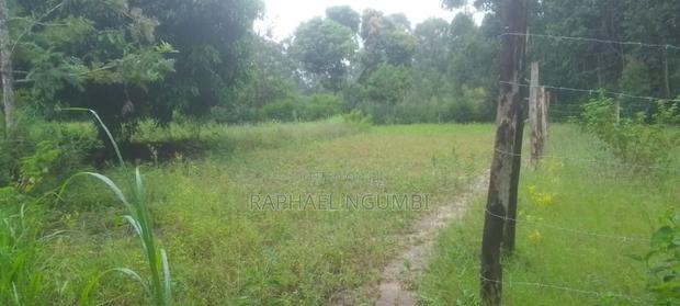 Plot at Tumba - Kasinga Area Next to Aic Kasinga - thumbnail 3