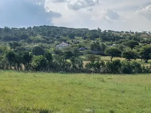 Distressed Sale of Prime Half Acre Land Off Pipeline Road