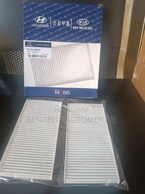 Kia Hyundai Dual Cabin Filter